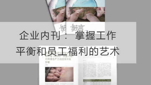 企业内刊： 掌握工作平衡和员工福利的艺术